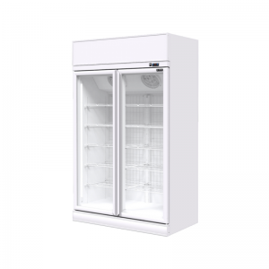 REACH-IN CHILLER & FREEZER (FREEZER)