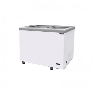 FLAT SLIDING GLASS FREEZER (FREEZER)