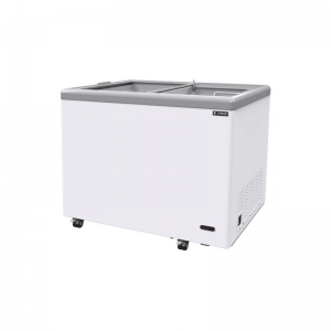 FLAT SLIDING GLASS FREEZER (FREEZER)