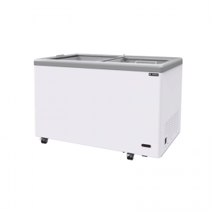 FLAT SLIDING GLASS FREEZER (FREEZER)