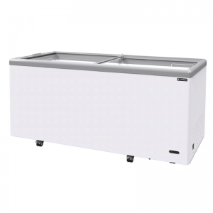 FLAT SLIDING GLASS FREEZER (FREEZER)