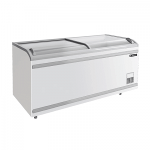 BIG CURVED SLIDING GLASS FREEZER (FREEZER)